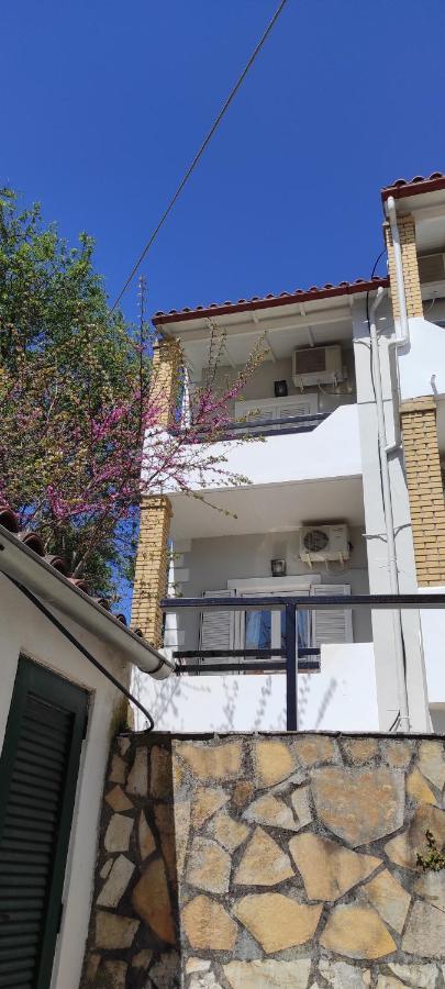 Boho Studios Liapades - Near Restaurants, Bus And Beaches Ngoại thất bức ảnh
